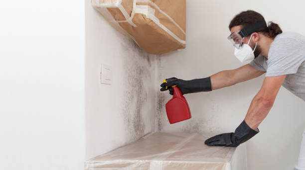 Professional Bathroom Mold Removal technician working in Manhasset, NY